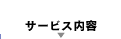 �T�[�r�X���e